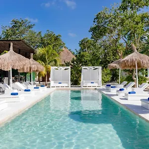 https://le-swing-boutique-hotel.quintano-roohotels.com